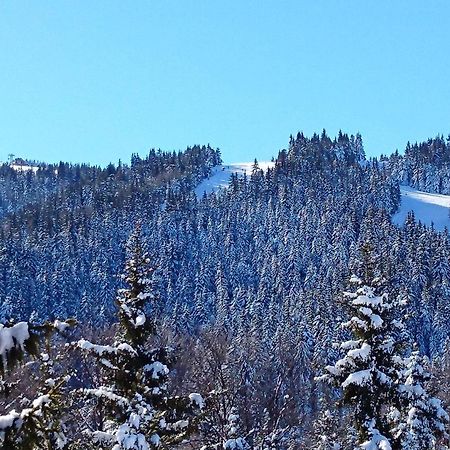 Tes Rila Park Apartments Borovets Luaran gambar