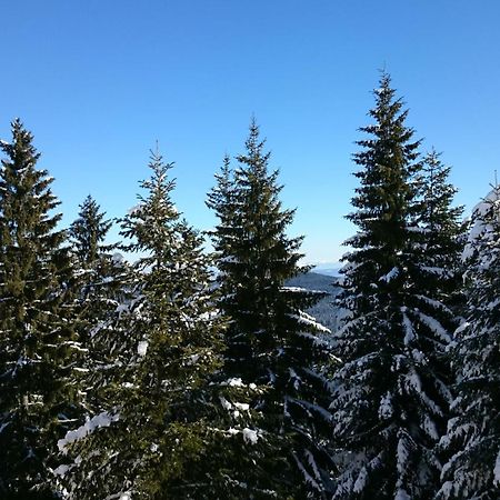Tes Rila Park Apartments Borovets Luaran gambar