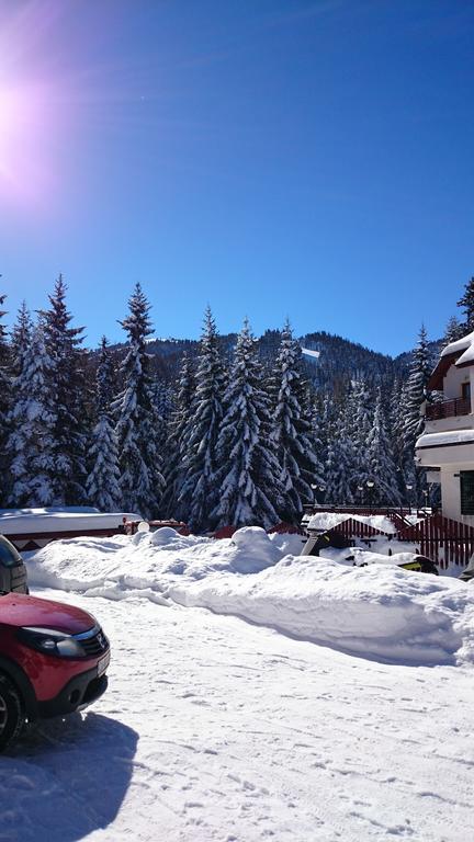 Tes Rila Park Apartments Borovets Luaran gambar