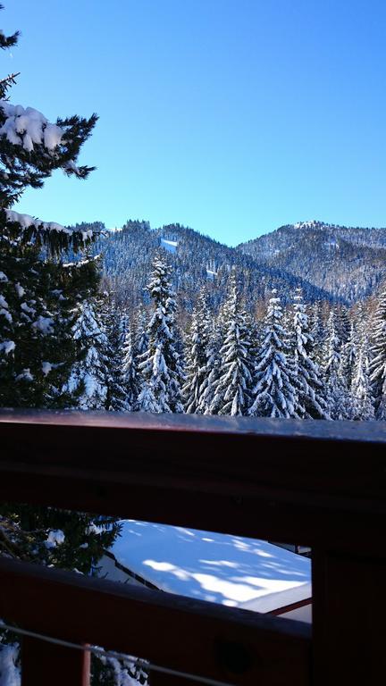 Tes Rila Park Apartments Borovets Bilik gambar