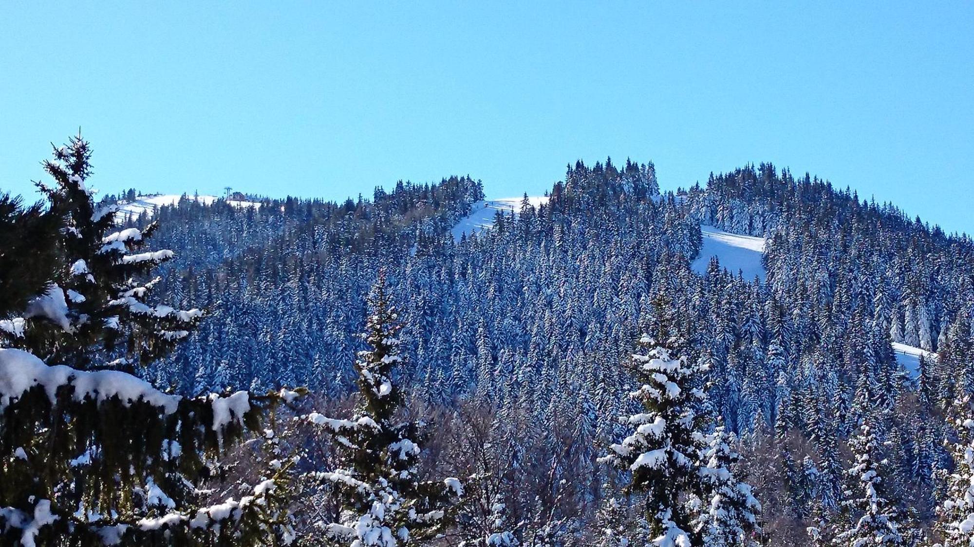 Tes Rila Park Apartments Borovets Luaran gambar