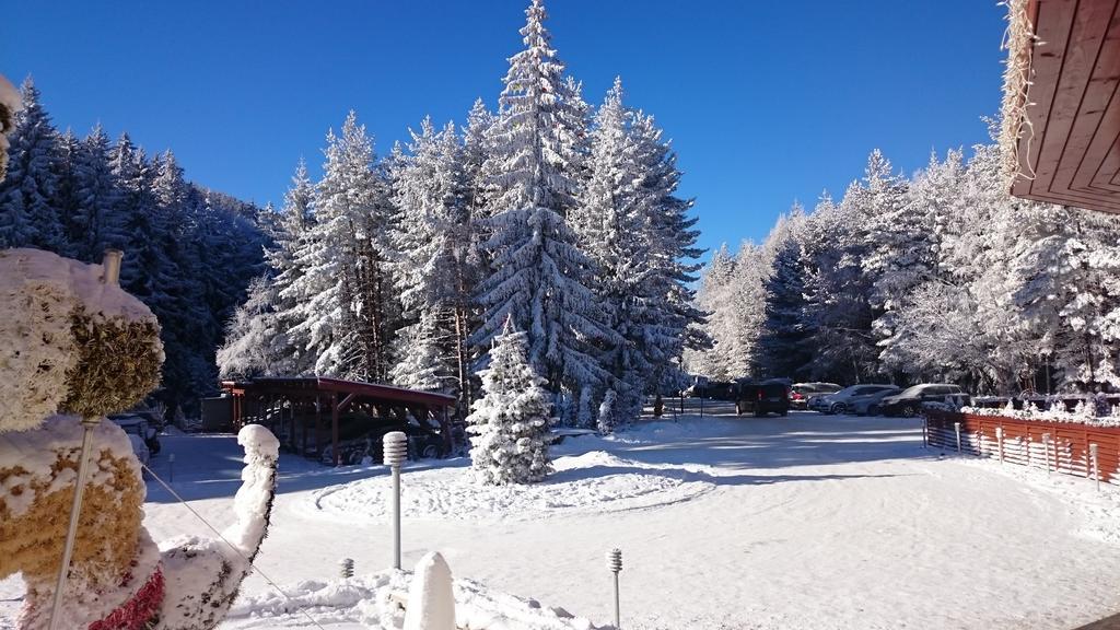 Tes Rila Park Apartments Borovets Luaran gambar