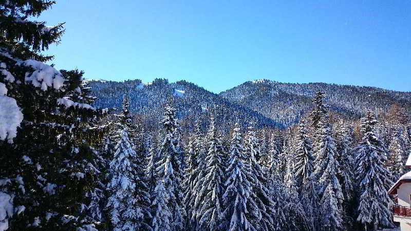 Tes Rila Park Apartments Borovets Luaran gambar